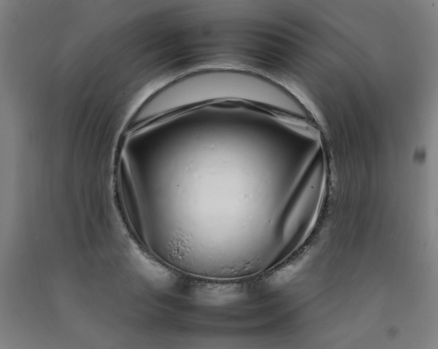 X0000092210845200709281021