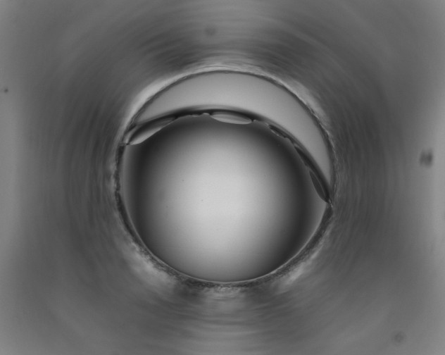 X0000092210846200709281021