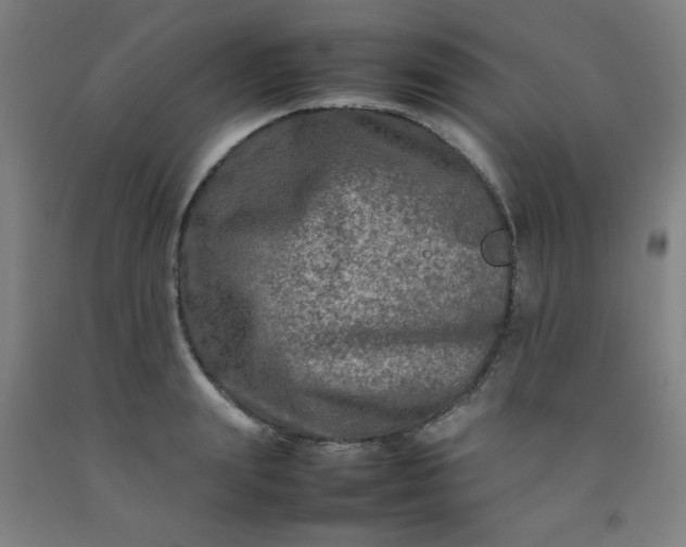 X0000092210847200709281021