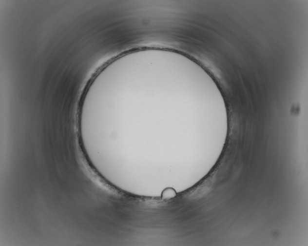 X0000092210848200709281021