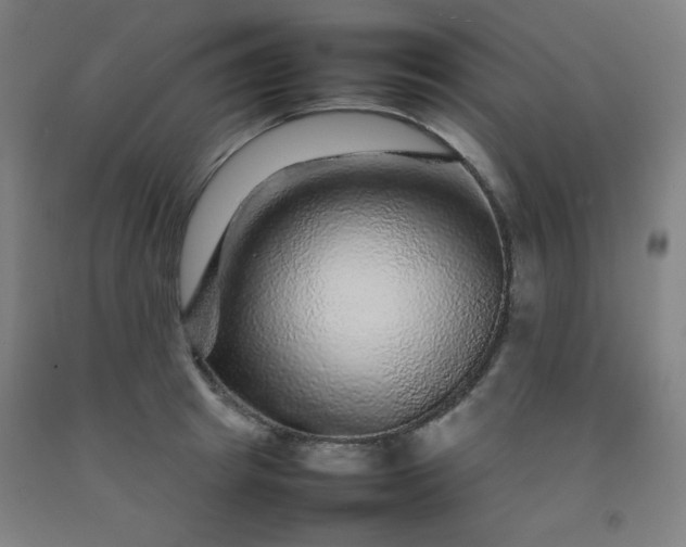 X0000092210849200709281021