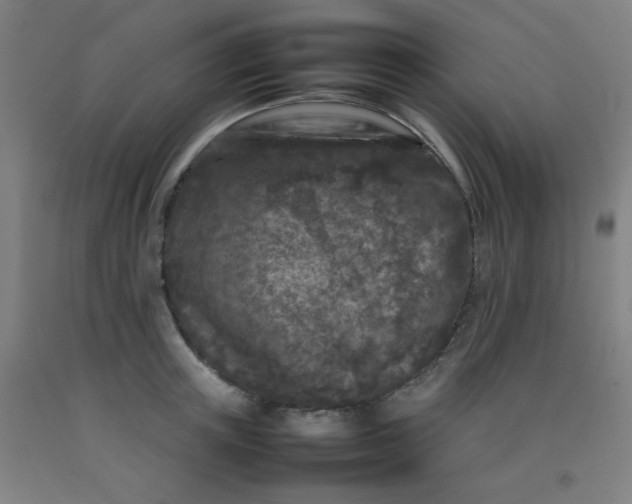 X0000092210851200709281021