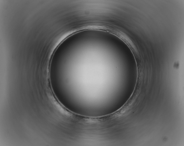 X0000092210852200709281021