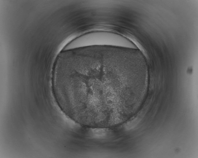 X0000092210853200709281021