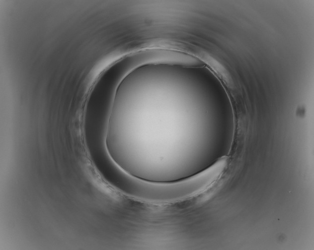 X0000092210854200709281021