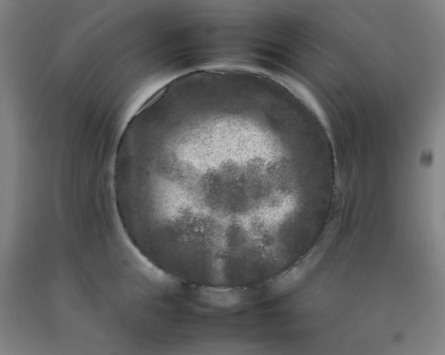 X0000092210855200709281021