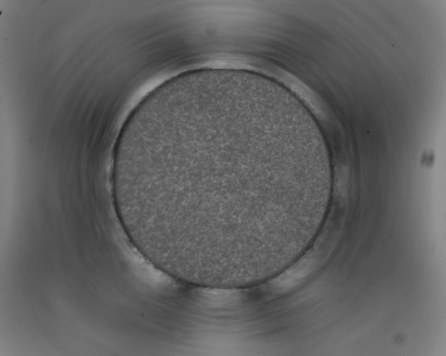 X0000092210856200709281021