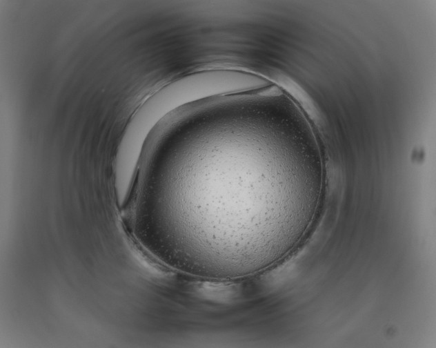 X0000092210857200709281021