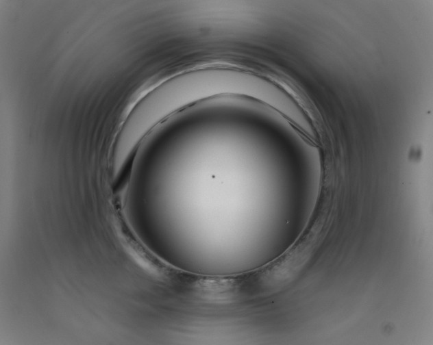 X0000092210858200709281021