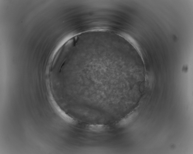 X0000092210859200709281021