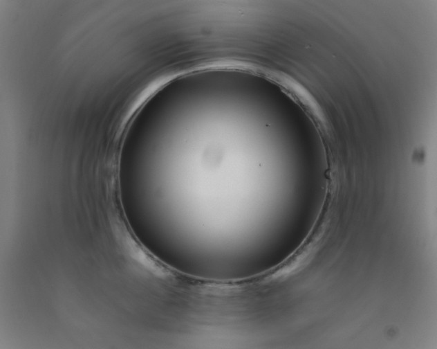 X0000092210860200709281021