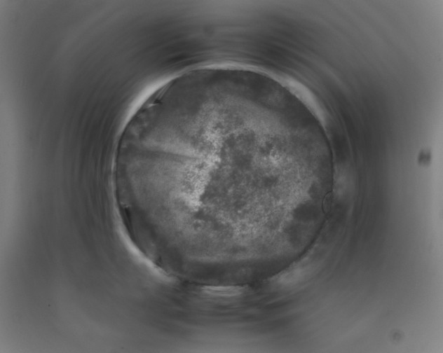 X0000092210863200709281021