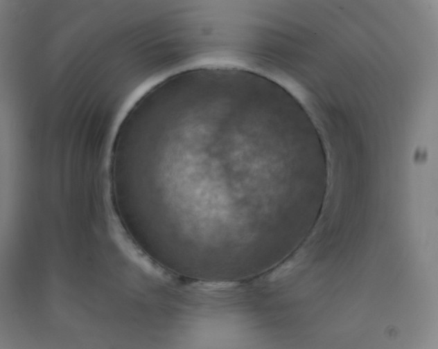 X0000092210864200709281021