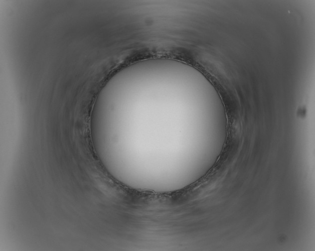 X0000092210865200709281021