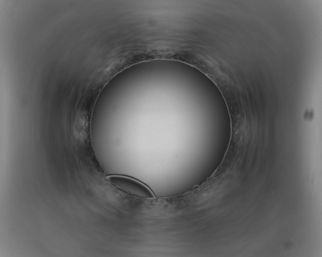 X0000092210866200709281021