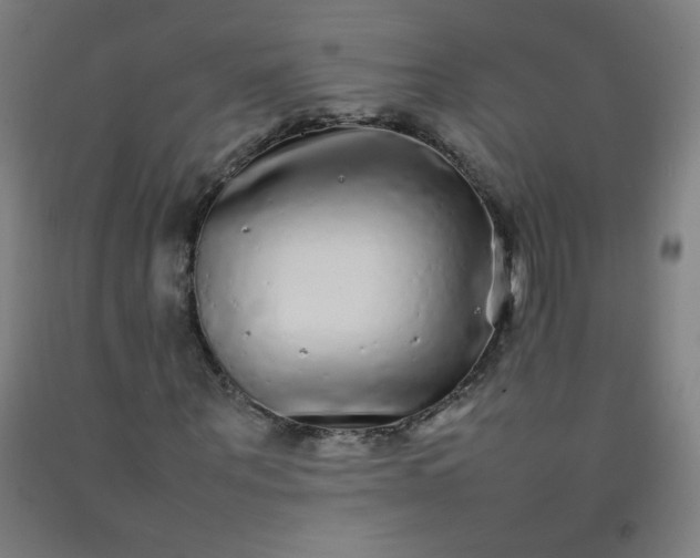 X0000092210867200709281021