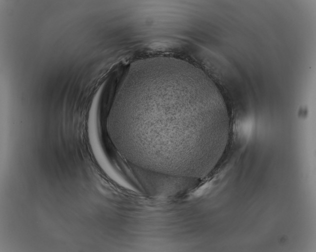 X0000092210868200709281021