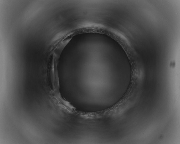 X0000092210869200709281021