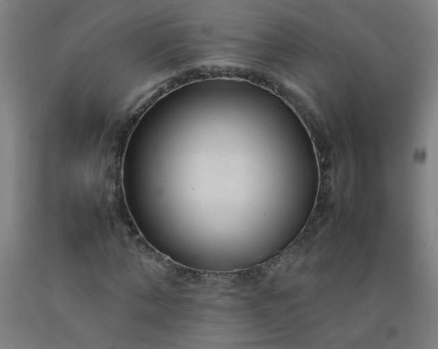 X0000092210870200709281021