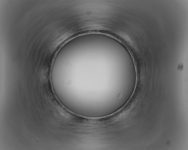 X0000092210873200709281021