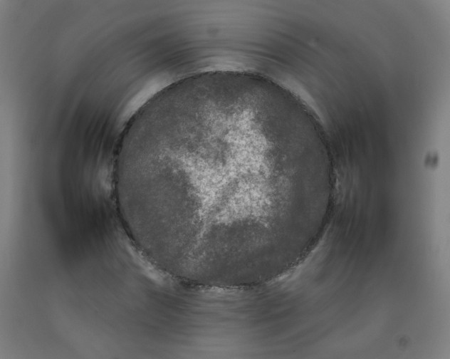 X0000092210874200709281021