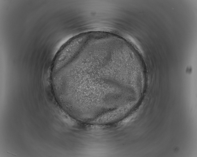 X0000092210875200709281021