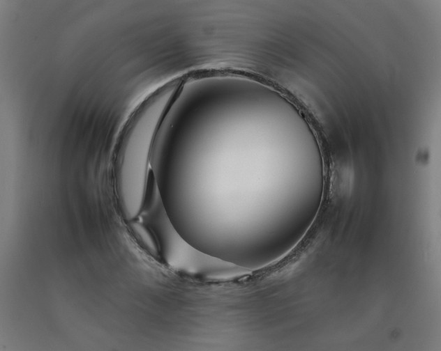 X0000092210876200709281021