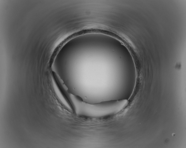 X0000092210877200709281021