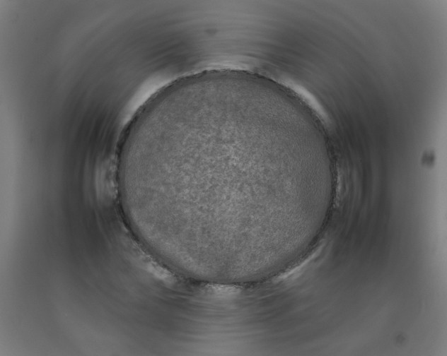 X0000092210878200709281021