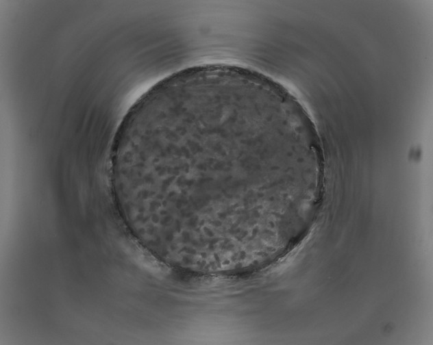 X0000092210879200709281021