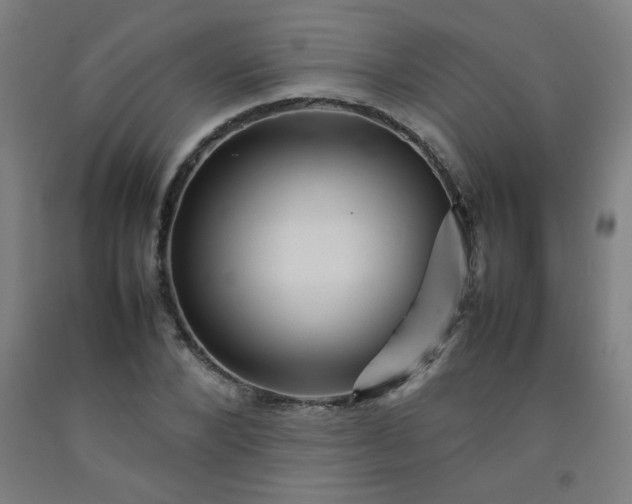 X0000092210880200709281021