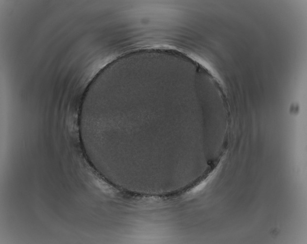 X0000092210881200709281021