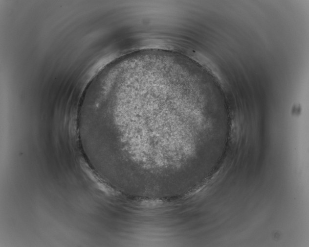 X0000092210882200709281021