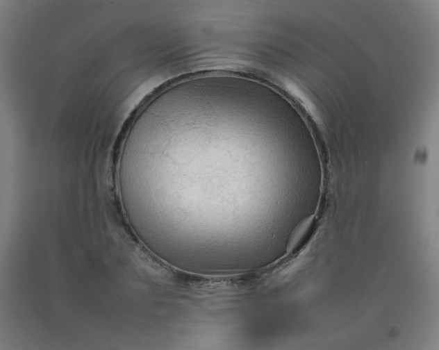 X0000092210883200709281021