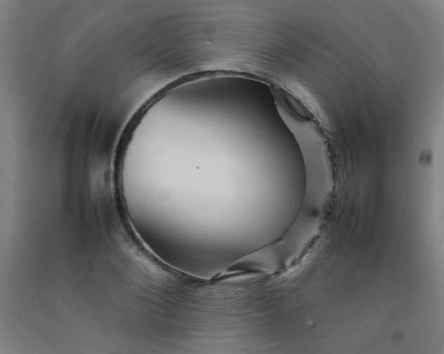 X0000092210884200709281021