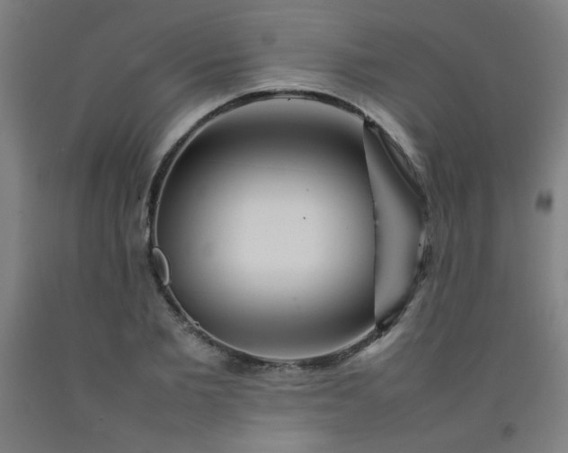 X0000092210885200709281021