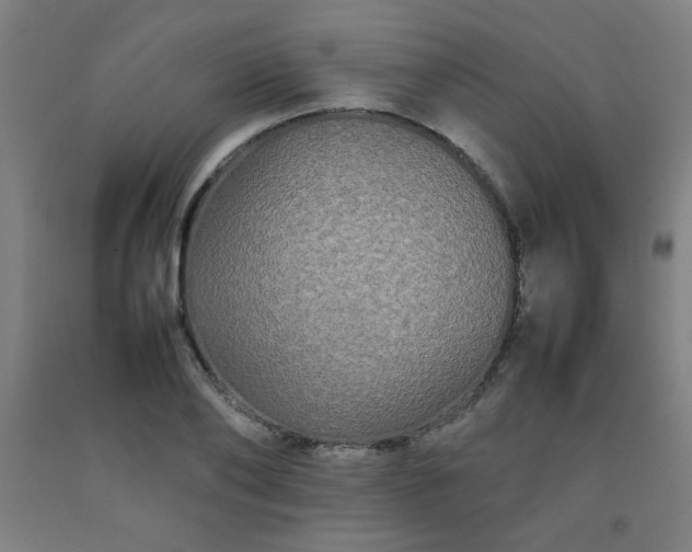 X0000092210886200709281021