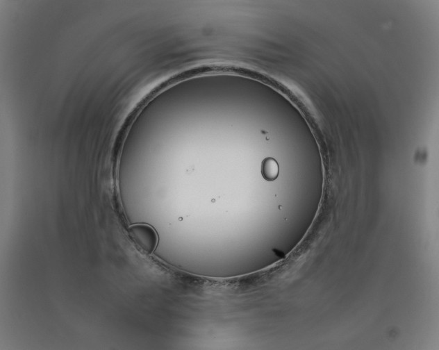 X0000092210887200709281021