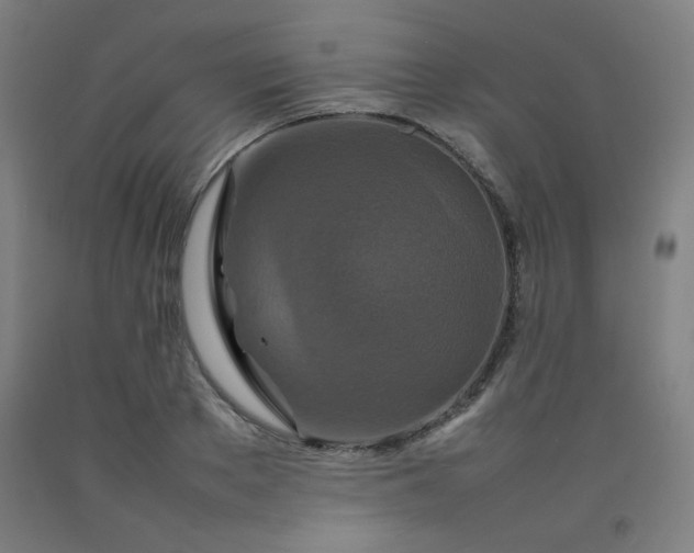 X0000092210889200709281021