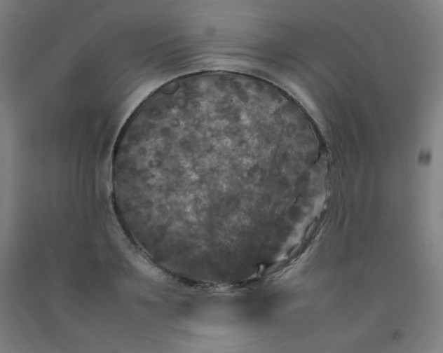 X0000092210891200709281021