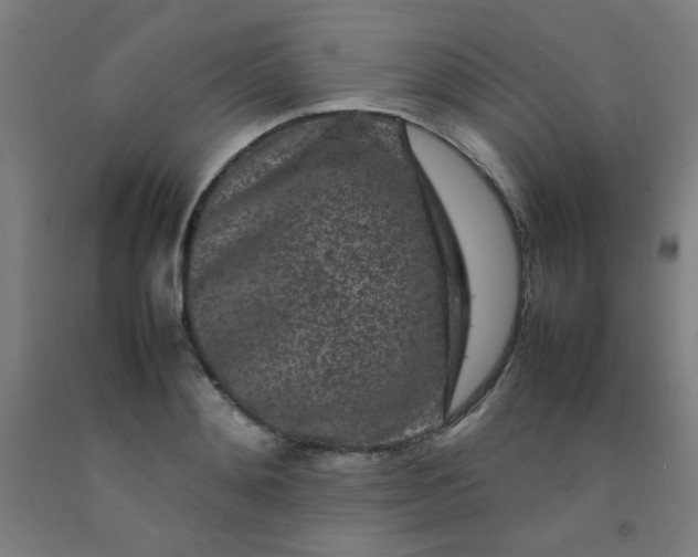 X0000092210892200709281021