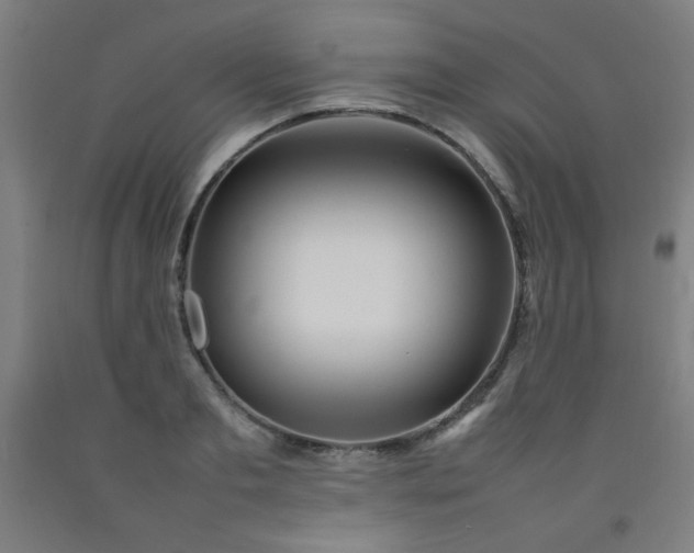 X0000092210893200709281020