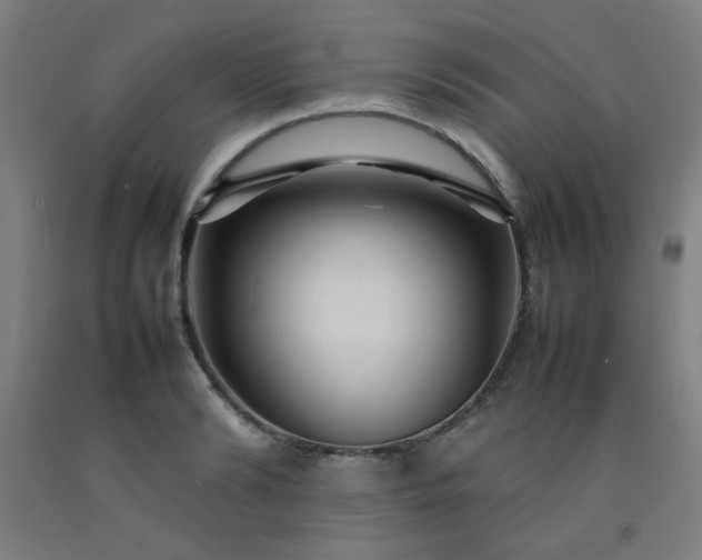 X0000092210894200709281020