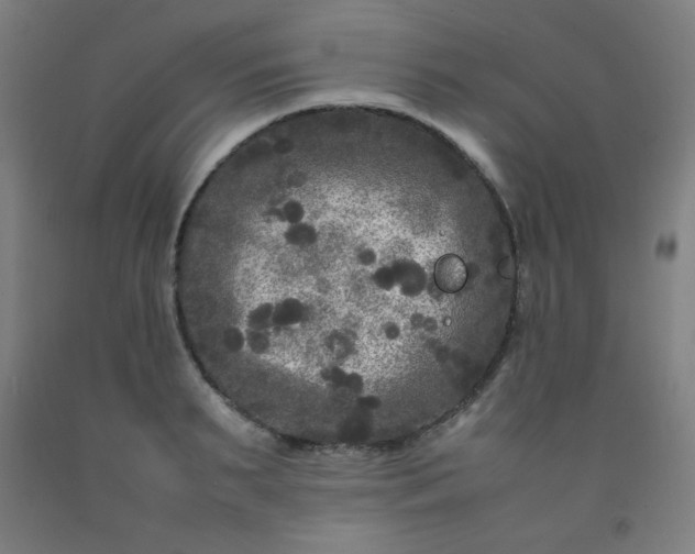 X0000092210895200709281020