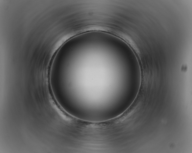 X0000092210898200709281020