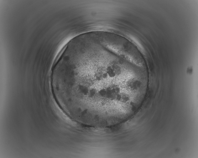 X0000092210899200709281020