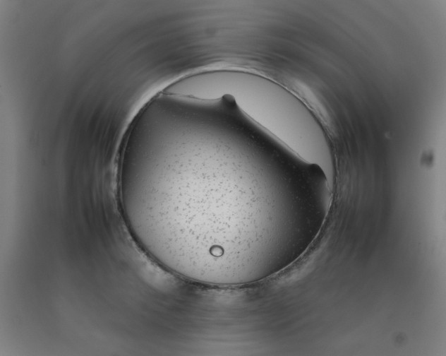 X0000092210900200709281020