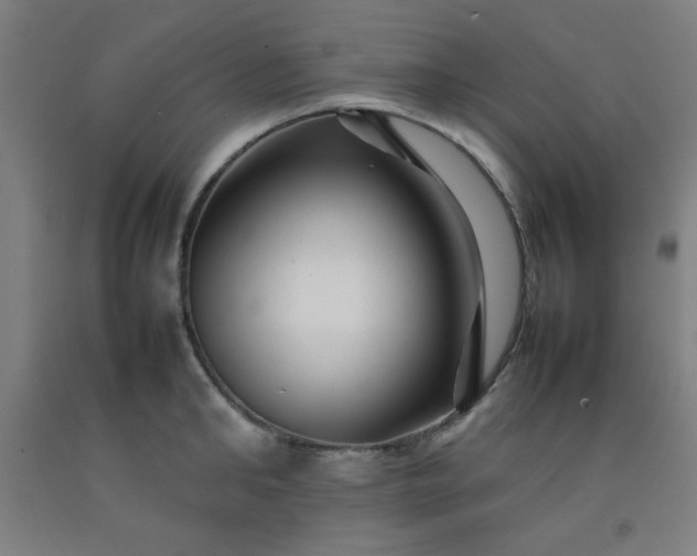 X0000092210902200709281020