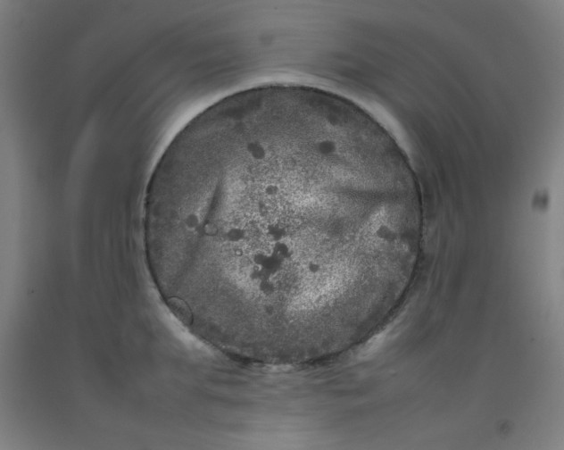 X0000092210903200709281020