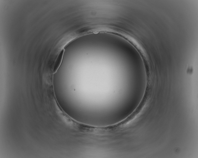 X0000092210905200709281020